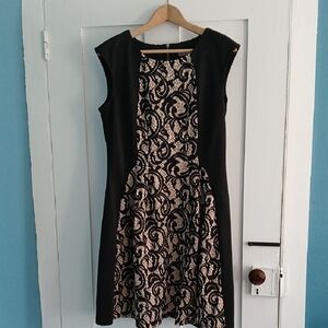 Elegant Black and Cream Lace Dress